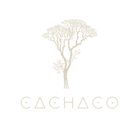LOGOS CACHACO